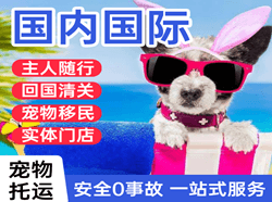 建三江空运国际宠物托运 【国